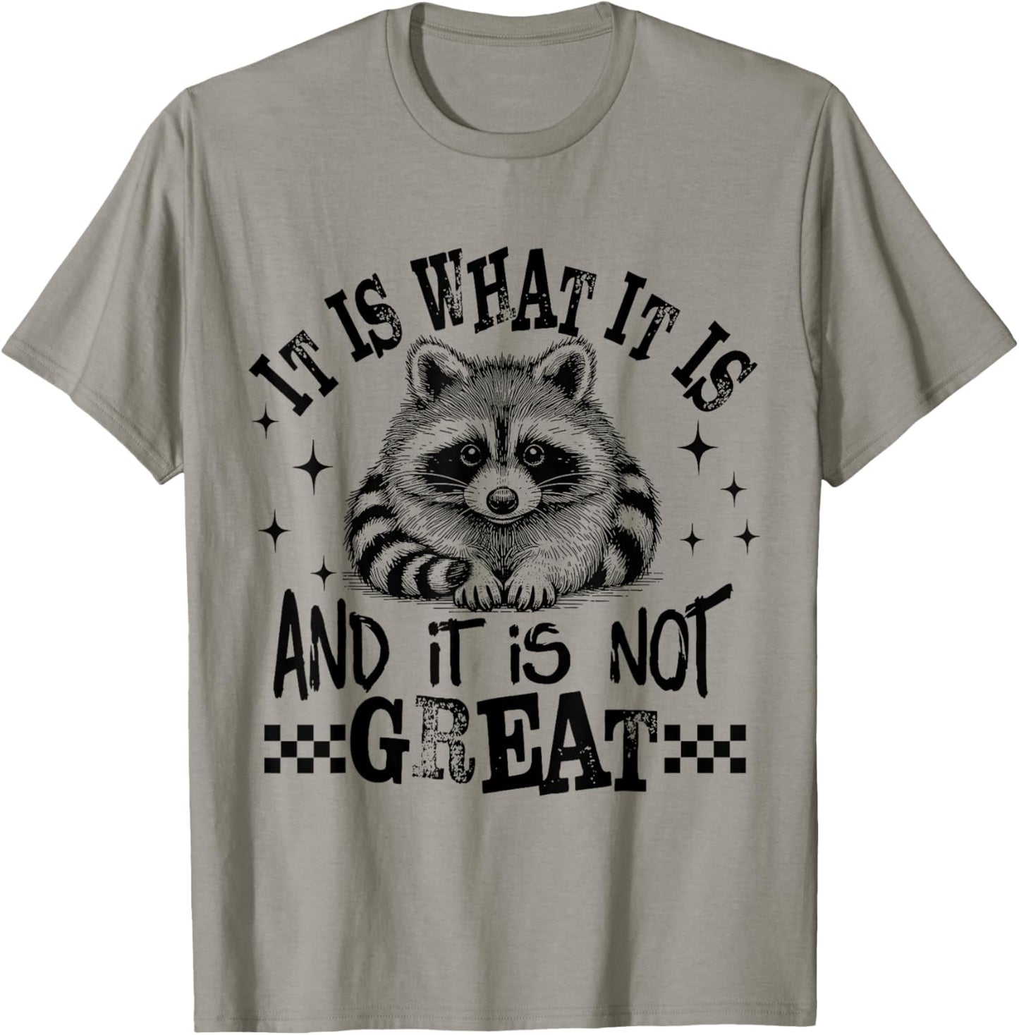 It's What It's And It Is Not Great Sarcastic Raccoon Meme