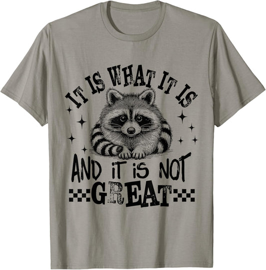 It's What It's And It Is Not Great Sarcastic Raccoon Meme
